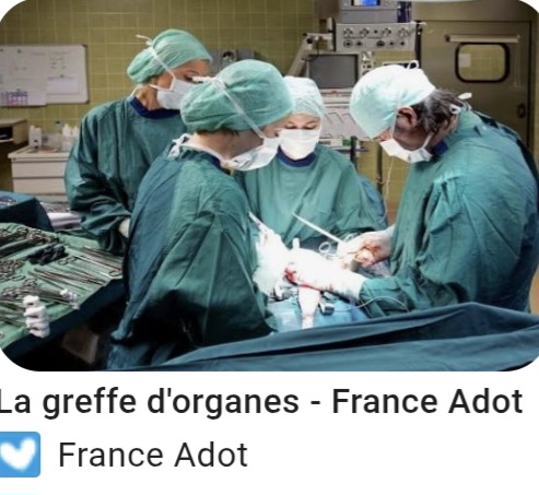 فرنسا: رقم قياسي في زراعة الأعضاء