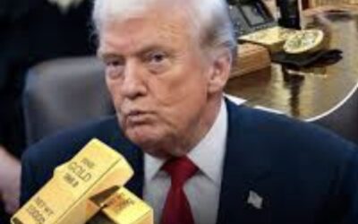 طاحونة العجائب وسيرك السياسة التجارية: عندما تصبح الرسوم الجمركية أداة استقطاب احتكاري